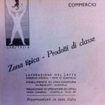 foto (1)